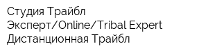 Студия Трайбл ЭкспертOnlineTribal Expert - Дистанционная Трайбл