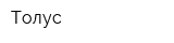 Толус