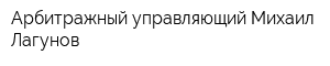 Арбитражный управляющий Михаил Лагунов