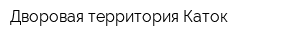 Дворовая территория Каток