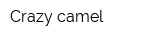 Crazy-camel