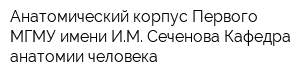 Анатомический корпус Первого МГМУ имени ИМ Сеченова Кафедра анатомии человека