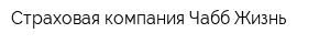 Страховая компания Чабб Жизнь