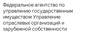 Федеральное агентство по управлению государственным имуществом Управление отраслевых организаций и зарубежной собственности