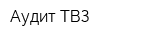Аудит-ТВЗ