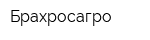 Брахросагро