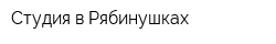 Студия в Рябинушках