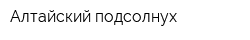 Алтайский подсолнух