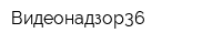 Видеонадзор36