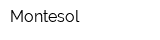 Montesol