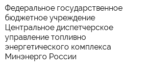 Федеральное государственное бюджетное учреждение Центральное диспетчерское управление топливно-энергетического комплекса Минэнерго России