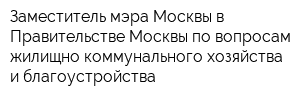 Заместитель мэра Москвы в Правительстве Москвы по вопросам жилищно-коммунального хозяйства и благоустройства