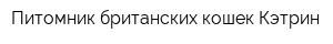 Питомник британских кошек Кэтрин