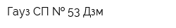 Гауз СП   53 Дзм