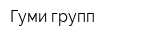 Гуми групп