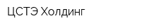 ЦСТЭ Холдинг