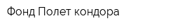 Фонд Полет кондора