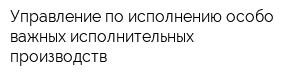 Управление по исполнению особо важных исполнительных производств