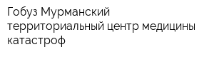 Гобуз Мурманский территориальный центр медицины катастроф