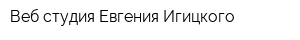 Веб-студия Евгения Игицкого