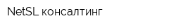 NetSL консалтинг
