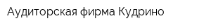 Аудиторская фирма Кудрино