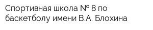 Спортивная школа   8 по баскетболу имени ВА Блохина