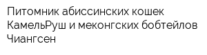 Питомник абиссинских кошек КамельРуш и меконгских бобтейлов Чиангсен