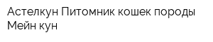 Астелкун Питомник кошек породы Мейн-кун