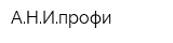 АНИпрофи