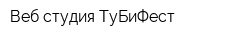 Веб-студия ТуБиФест