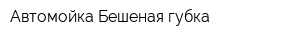 Автомойка Бешеная губка