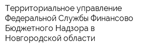 Территориальное управление Федеральной Службы Финансово-Бюджетного Надзора в Новгородской области