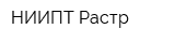 НИИПТ Растр