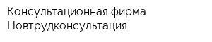 Консультационная фирма Новтрудконсультация