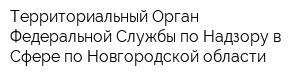Территориальный Орган Федеральной Службы по Надзору в Сфере по Новгородской области