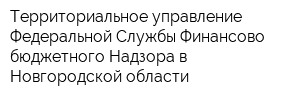 Территориальное управление Федеральной Службы Финансово-бюджетного Надзора в Новгородской области