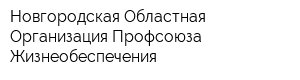 Новгородская Областная Организация Профсоюза Жизнеобеспечения