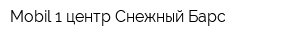 Mobil 1 центр Снежный Барс