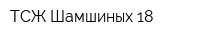 ТСЖ Шамшиных 18
