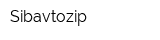 Sibavtozip