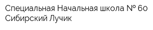 Специальная Начальная школа   60 Сибирский Лучик