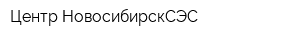 Центр-НовосибирскСЭС