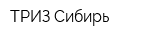 ТРИЗ-Сибирь