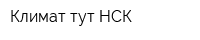 Климат тут НСК