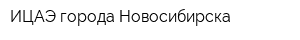 ИЦАЭ города Новосибирска