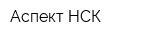 Аспект НСК