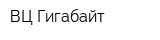 ВЦ Гигабайт