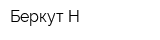 Беркут-Н