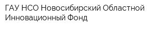ГАУ НСО Новосибирский Областной Инновационный Фонд